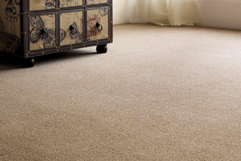 Carpets dealers 